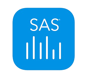 Government and Public Sector 1 sas removebg preview